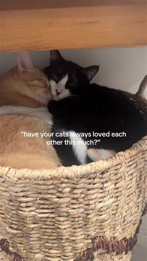 bonded at first cuddle 🥹♥️