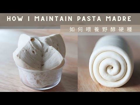 How I Maintain Pasta Madre | 如何喂養野酵硬種 (水式酵母）