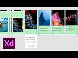 UI/UX Design with Christine Lee - 1 of 3 | Adobe Creative Cloud