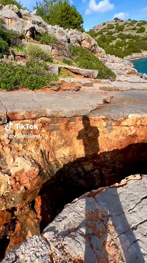 Zorbas Island στο TikTok