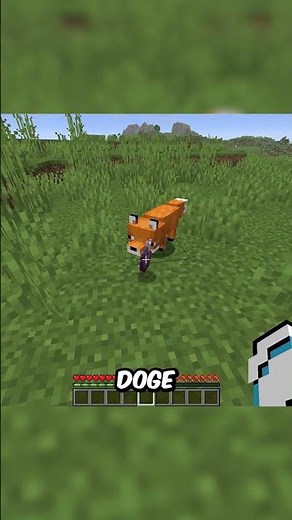 Get Rich From Fox In Minecraft...