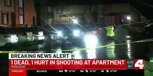 Robbery suspect killed in Ferguson shooting