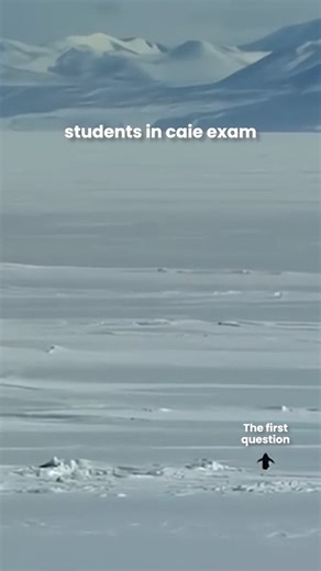 Be the penguin that solves, not runs! Watch Sir Kashan and make physics easy. | Physics by Kashan Rashid