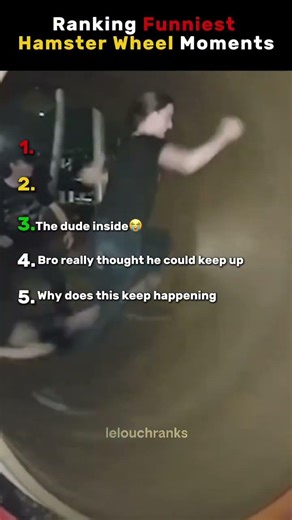 Ranking Funniest Hamster Wheel Moments #shorts