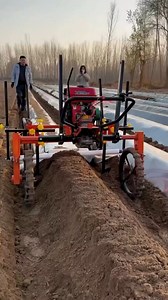 Japanese Farming Techniques #JapanFarming #ModernAgriculture #EfficientFarming #USA #InnovativeTech | Daily Dose of Facts