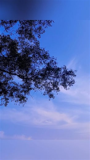 Creative Photography | Tips & Tricks with Phone using Pro Mode 📸 | Mobile Photography Hacks 🔥