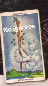 #mexico #atlanta #texas #dinero | Vident Tarot