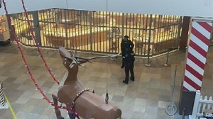 Five suspects in custody following reported Georgian Mall robbery