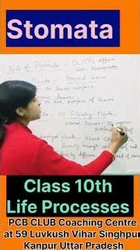 Stomata Explained Simply | बोर्ड Exam के लिए ज़रूरी 🌱