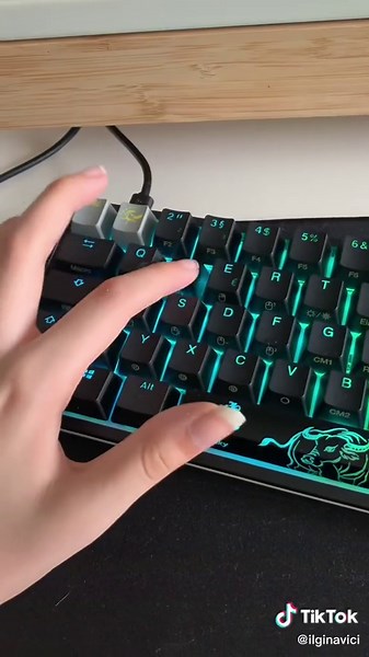 Gaming Ekipman Alışverişim - Dacky van 2 Mini ve Diğer Ürünler!