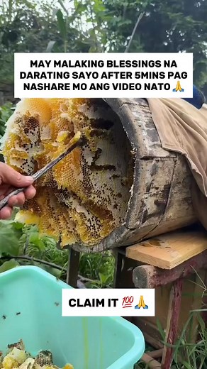 WIN LIFE PRO on Reels