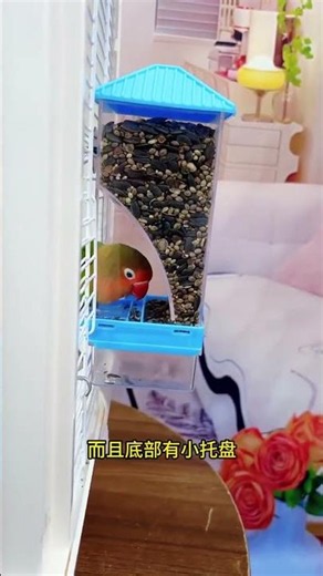 “OMG My Parrot Said WHAT?! 😱😂”“You Won’t Believe This Cute Parrot’s Reaction! 🐦💛”“My Parrot’s Funn