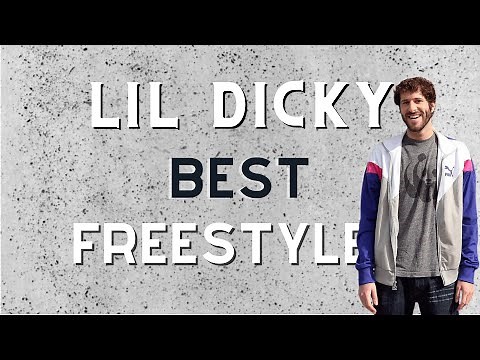 Lil Dicky Freestyle Compilation (Best Freestyles)