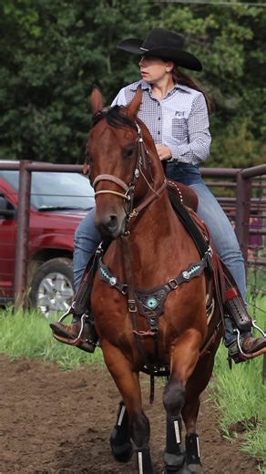 The Big Bang is ready to shake up 2024. Start getting your horses ready for the barrel race of the year 💥#barrelrace #barrelracing #barrerracingtok #alberta #albertabarrelracing #thebigbang #fyp #horses #horsesoftiktok #barrelracer #futurity #barrelracingedit
