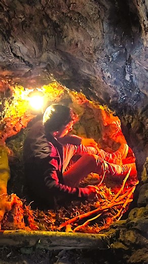 A Hidden Shelter Inside a Tree A tree from the outside. A warm shelter inside. Fire, food, and a quiet night. Sound on 🔊 #nature #outdoor #fire #camping #asmr | Dawid Outdoor Adventures