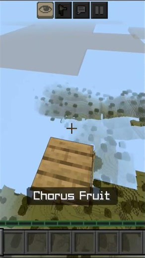 Chorus fruit clutch done from 100 block in Minecraft