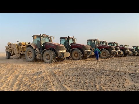 5 Rock Pickers TRIGINER & 5 Trailers