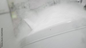 Liquid Nitrogen containing, Removing the container from the stem cell Bank by a scientist