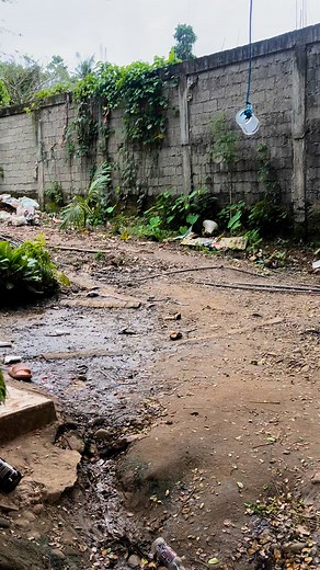 278K views · 3.1K reactions | Hello guys my update blogs for today . Og Karon guys kay atong tan awon ang kwarto kay murag naakoy nadunggan nag drama napud si annarose ogsi gegel ❤️❤️ | Snake Princess | Facebook