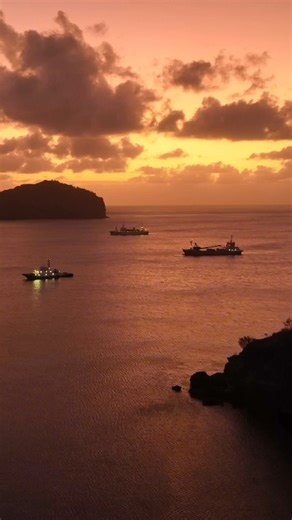 Nearly 620 miles (1,000 km) from central Tokyo, the Ogasawara Islands feel like a different world. This remote chain is known for its clear water, coral reefs, and species you won’t find anywhere else. It’s one of the most untouched marine environments in Japan. Did you know Japan has five UNESCO World Natural Heritage sites? Each one protects a different landscape, from dense forests to remote islands. Over the next few weeks, we’ll be highlighting a few of our favourites. Head to the link in o