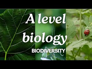 A Level Biology Edexcel A SNAB: Biodiversity