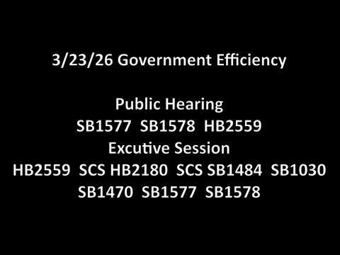 3/23/26 Government Efficiency PH & ES: SB1577 SB1578 HB2559 ES: SCS HB2180 SCS SB1484 SB1030 SB1470