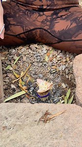 Camping essential | Kelly Cook