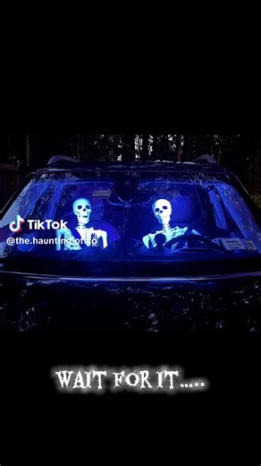 BURRO (@burro_no_sabo)’s videos with original sound - BURRO