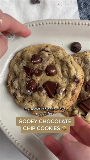 Soft and Gooey Chocolate Chip Cookies Recipe