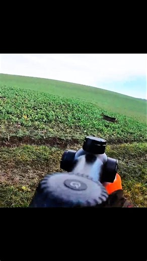 Trophy Buck Hunting | Heart-Pounding Moments#DeerHunt#BuckHunting#DeerHunting