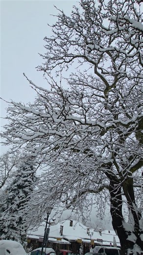 Ευτύχης Μπλέτσας on Instagram: "Στο καναλι μας στο YouTube live!!! link σε story"