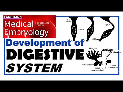 Langman Chapter#15 | Embryology of Digestive System | Dr Asif Lectures
