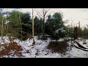 Nature Experience of Winter Forest in VR/3D 360° to Relax and Calm Down
