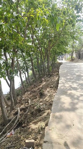 #egzonibrahimi #quran #surahattin #automobile #islamerbarta #inspirationalquotes #nature #shorts