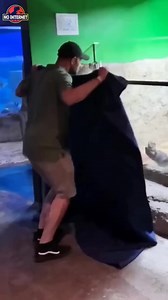 Crying little otter #fypシ゚viralシfypシ゚ #highlightseveryonefollowers2024 #adsonreels #fypviralシ #reelschallenge #animals #interestingfacts #millionviews Facebook | No internet