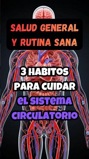 3 habitos para cuidar el sistema circulatorio
