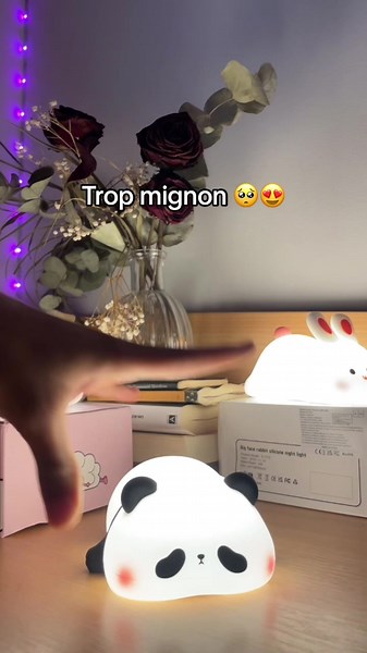 Plusieurs animaux disponibles 🥰offre limitée 👉🏻www.mymoonrabbit.com #panda #lampe #cute #mignon