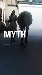 1.1K views | Pituitary pars intermedia dysfunction (PPID) is a serious, lifelong disease, but​ with proper treatment and management, horses with PPID can live a healthier life. | Boehringer Ingelheim Equine Health | Facebook