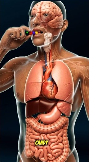 The Hidden Effects of Candy on Your Health #candy #health #healthshorts #ytshorts