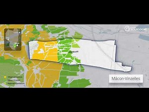 At the heart of the terroirs of Mâcon-Vinzelles