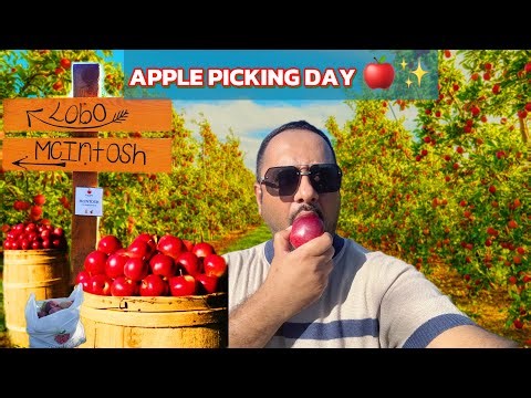 A Perfect Autumn Day 🍁 | Apple Picking, Tractor Ride & Cozy Farm Vibes 🍎