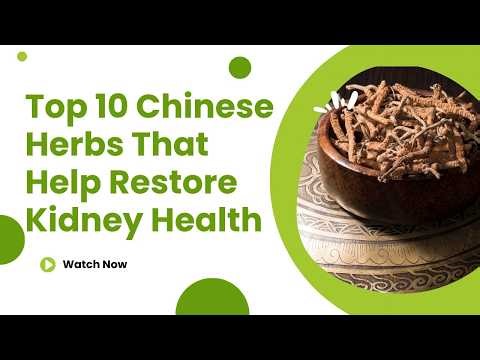Top 10 Chinese Herbs That Help Restore Kidney Health