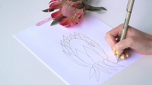 Day 11 of 31 Day Flower Drawing Challenge! Today we’re drawing the protea! Add this gorgeous South African flower to your drawing repertoire. #larsdrawingchallenge | The House That Lars Built | Facebook