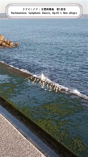 【この曲のココが良い✨️】ラフマニノフ交響的舞曲 #オーケストラ #おすすめクラシック音楽 #おすすめ観光地 #海