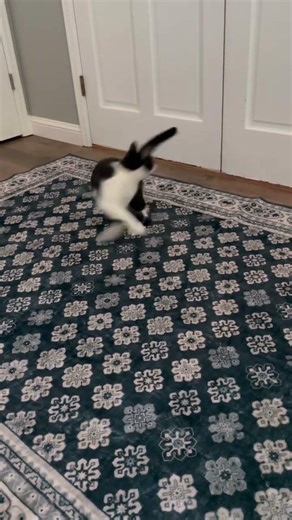 POV learning how to tap dance