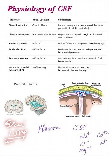 Physiology of CSF in 30 Seconds 🧠💧 Part 2 | MBBS Physiology #mbbs #biology #fmge #neetpg