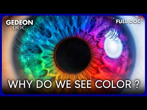 SEEING COLOUR : how the brain builds our perception of the world | SCIENCE DOC