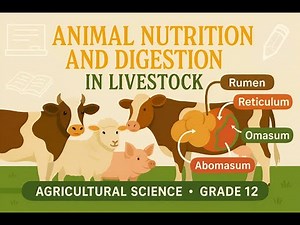 Animal Nutrition and Digestion in Livestock | Agricultural Sciences Grade 12 | Study Hub