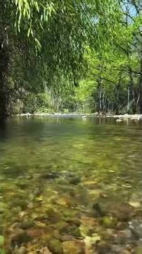 Relaxing music can help reduce stress, improve focus, and promote restful sleep through soothing