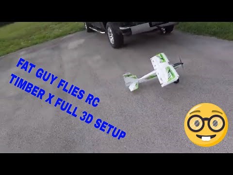 Eflite Timber X Full 3D setup